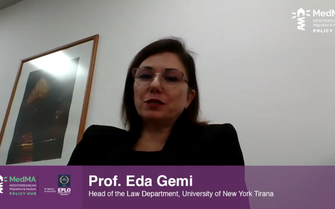 Screenshot from the webinar, showing speaker Eda Gemi