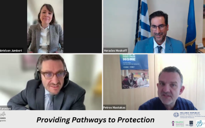 Webinar “Providing Pathways to Protection”